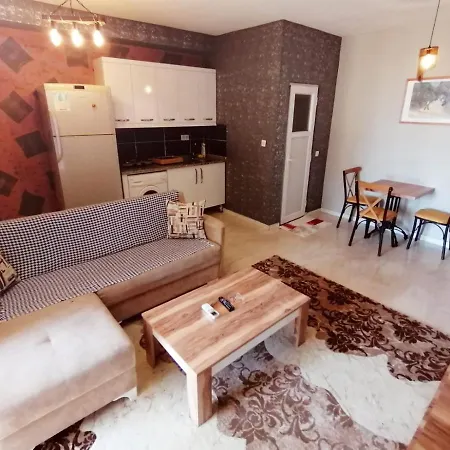 Apartment Aziz *