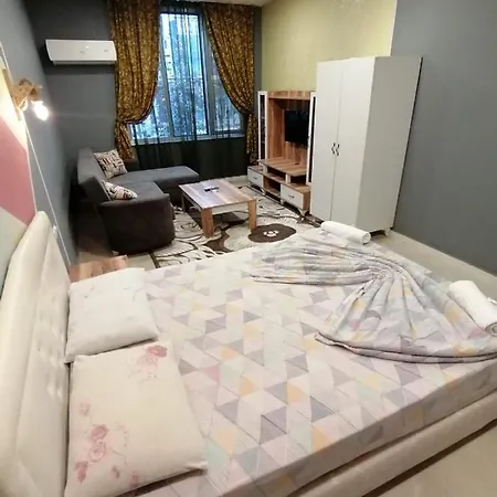 Apartment Aziz